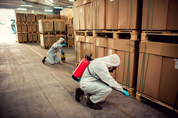 Best Wasp Removal Services  in Shorewood, WI