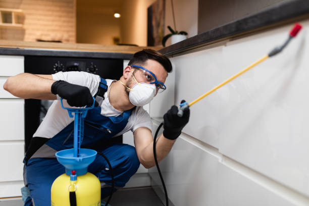 Best Rat Extermination Near Me  in Shorewood, WI