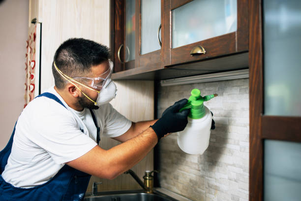 Best Pest Prevention Services  in Shorewood, WI