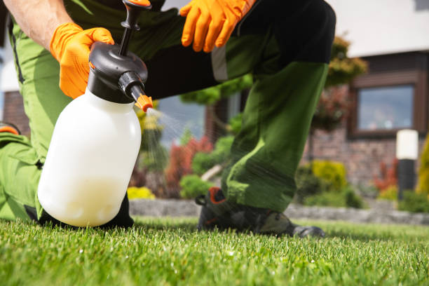 Best Termite Control Services  in Shorewood, WI