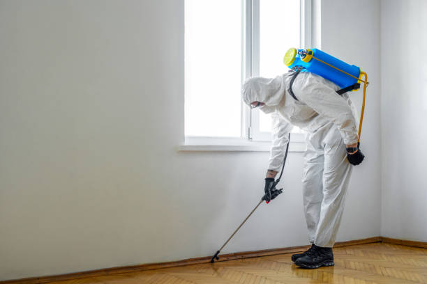 Best Affordable Pest Control Services  in Shorewood, WI