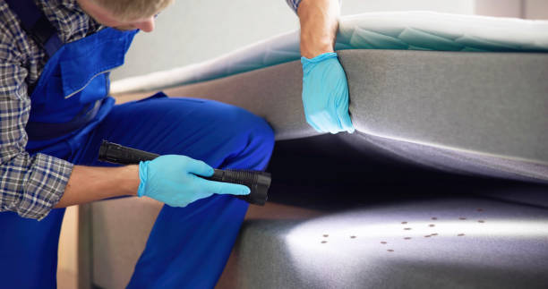 Reliable Shorewood, WI Pest Control Solutions