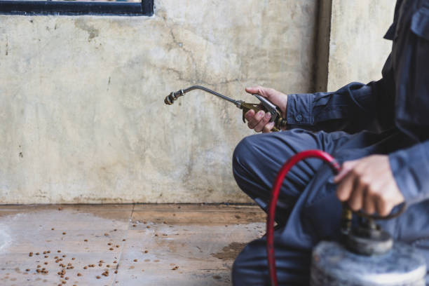 Best Local Pest Control Services  in Shorewood, WI